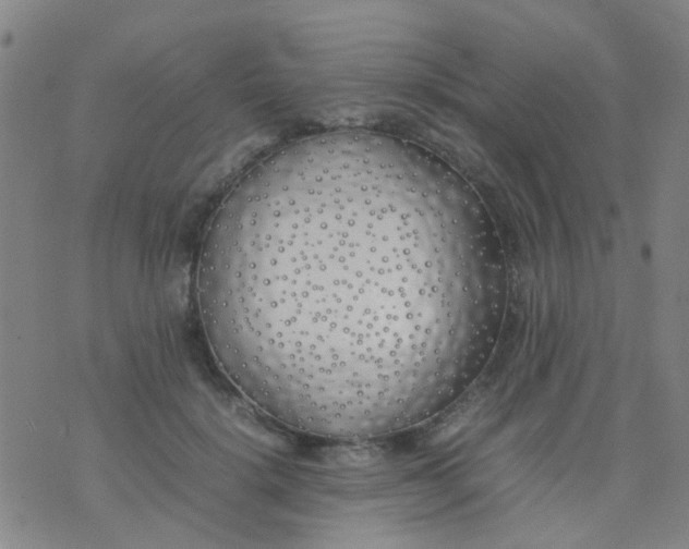 X0000074310652200609081943