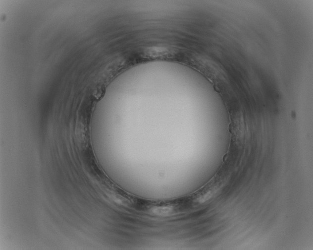 X0000074310653200609081943