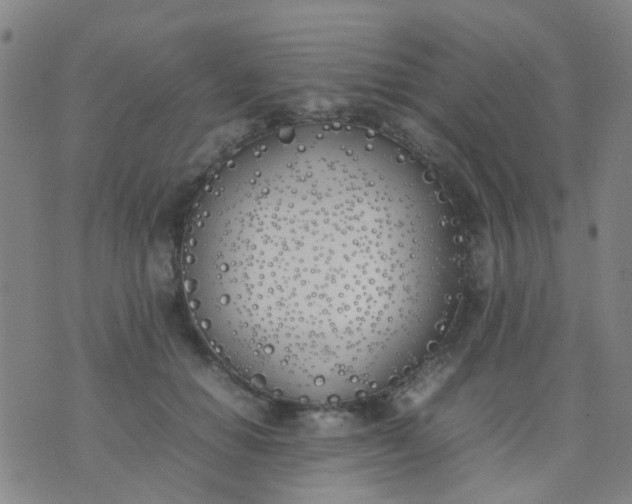 X0000074310654200609081943