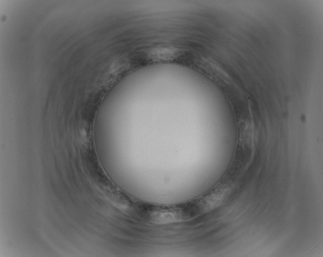 X0000074310655200609081943