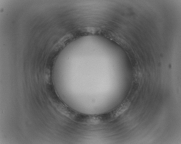 X0000074310656200609081943