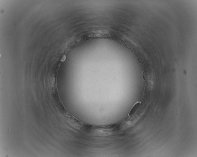 X0000074310657200609081943