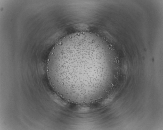 X0000074310658200609081943