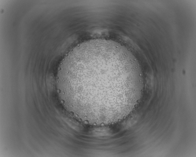 X0000074310659200609081943