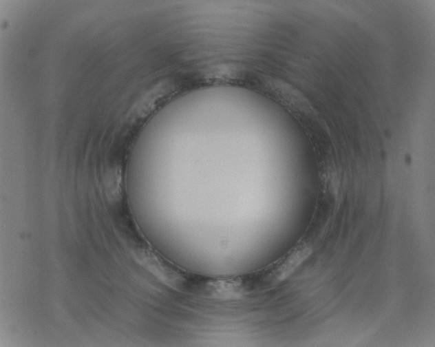 X0000074310660200609081943