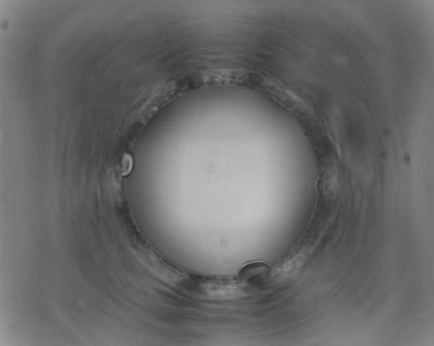 X0000074310661200609081943