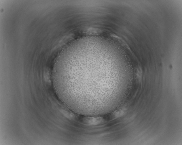 X0000074310663200609081943