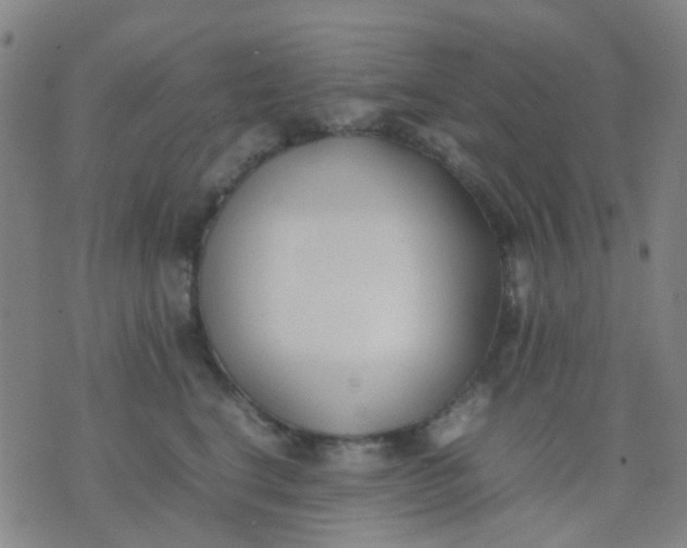 X0000074310664200609081943