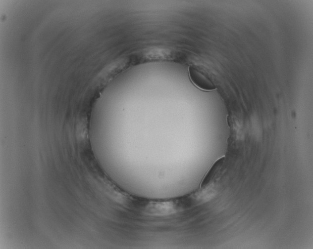 X0000074310665200609081943