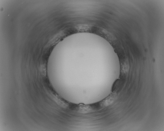 X0000074310666200609081943