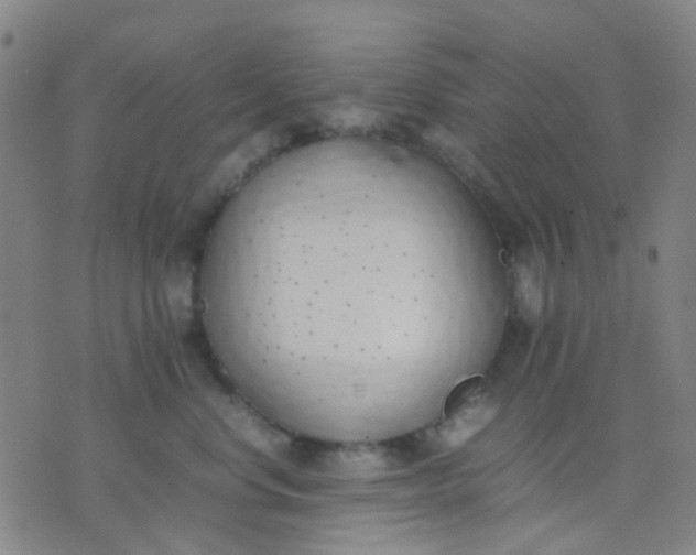 X0000074310668200609081943