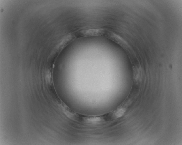 X0000074310669200609081943