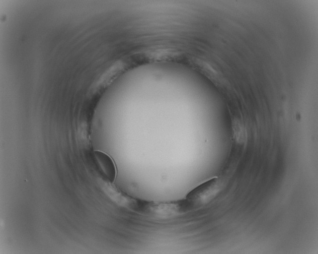 X0000074310670200609081943