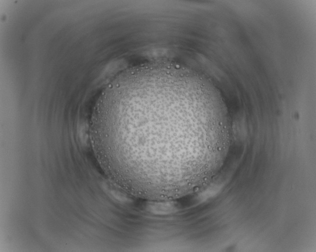 X0000074310671200609081943