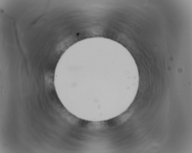 X0000074310672200609081943