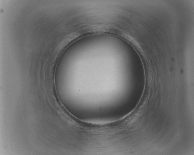 X0000074310673200609081943