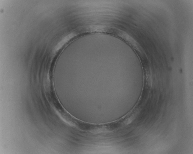 X0000074310674200609081943