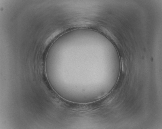 X0000074310675200609081943