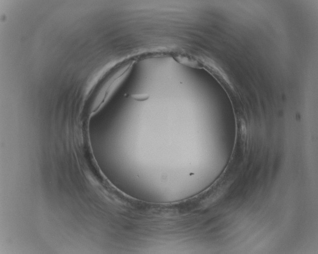 X0000074310676200609081943