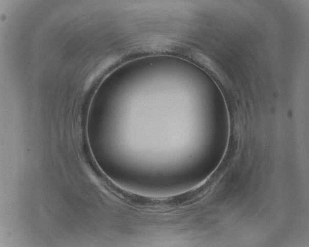 X0000074310677200609081943