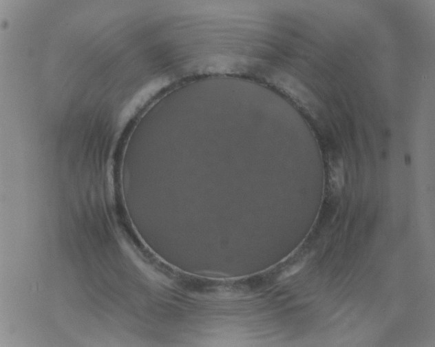 X0000074310678200609081943