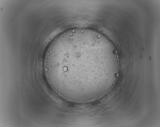 X0000074310679200609081943