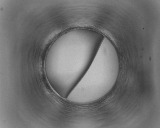 X0000074310680200609081943