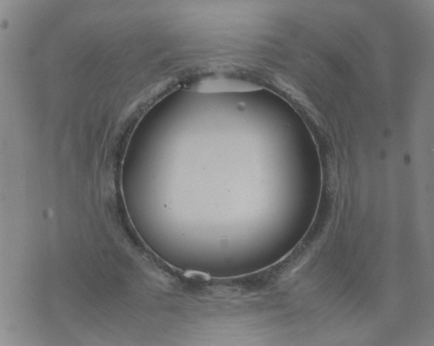 X0000074310681200609081943