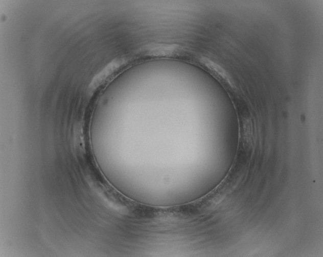 X0000074310682200609081943