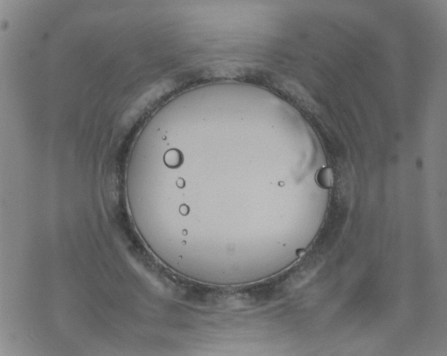 X0000074310683200609081943