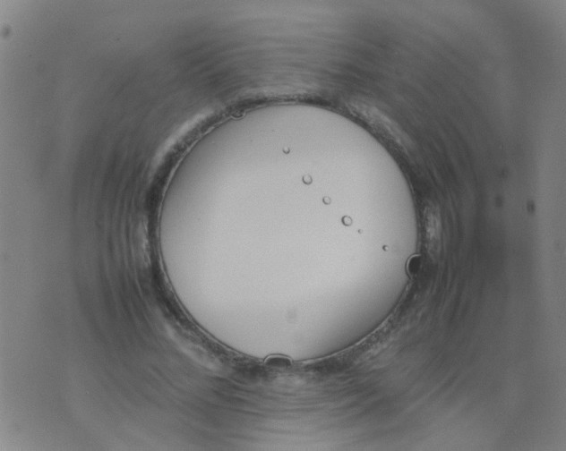 X0000074310684200609081943