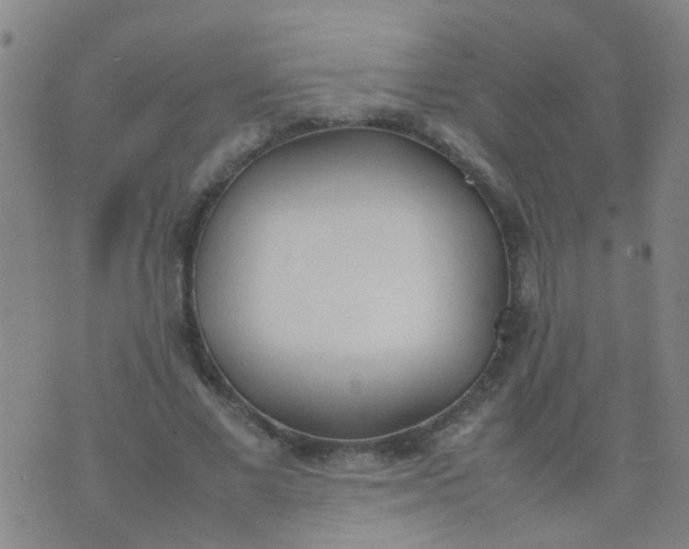 X0000074310685200609081943