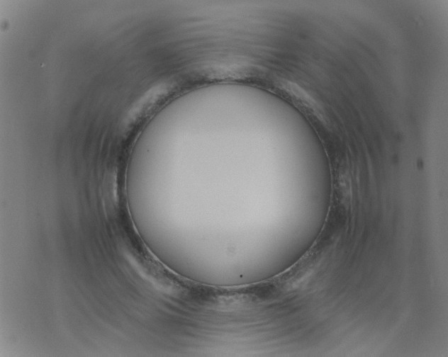 X0000074310686200609081943