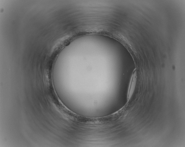 X0000074310688200609081942