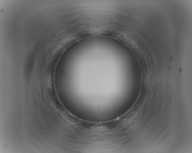 X0000074310689200609081942