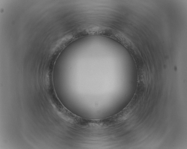 X0000074310690200609081942