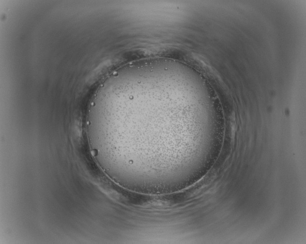 X0000074310691200609081942