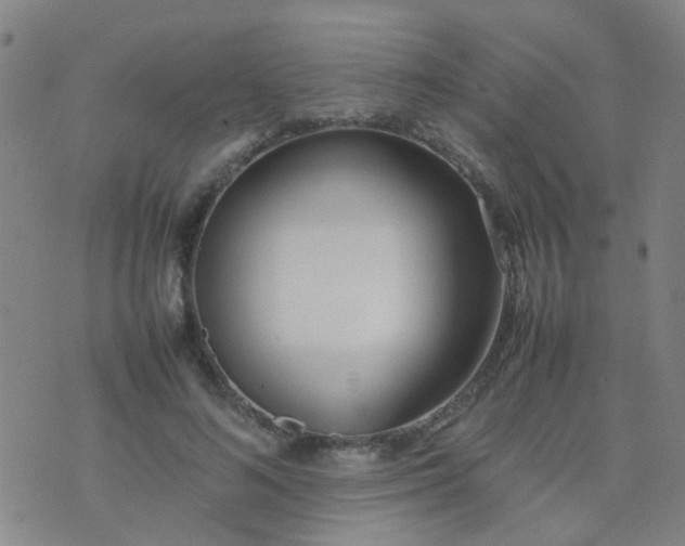 X0000074310692200609081942