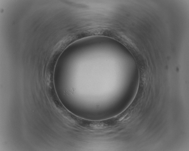 X0000074310693200609081942