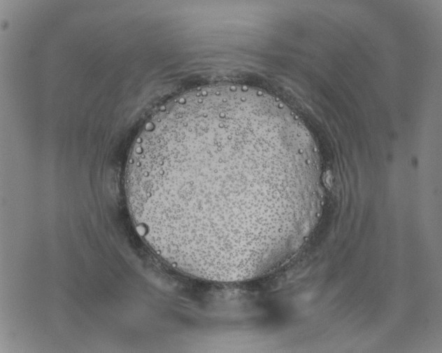 X0000074310695200609081942