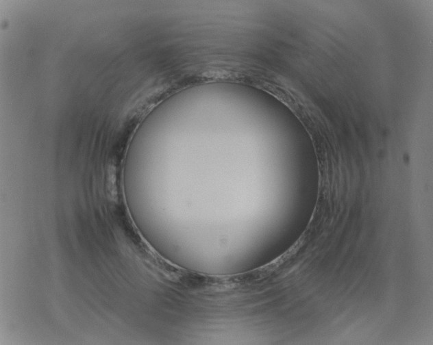 X0000074310696200609081942