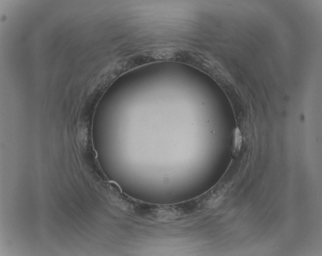 X0000074310697200609081942