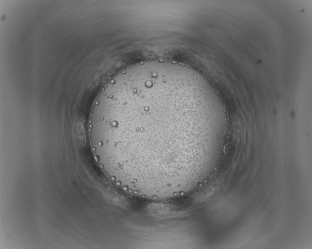 X0000074310699200609081942