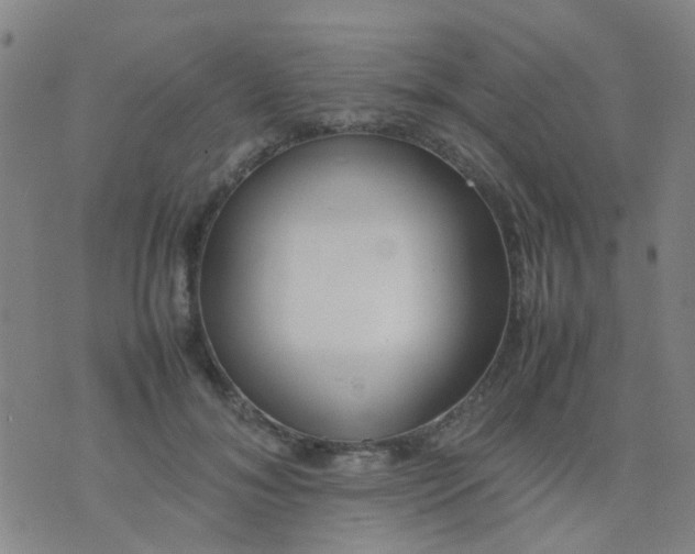 X0000074310700200609081942