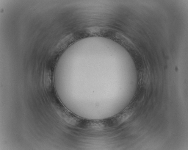 X0000074310702200609081942