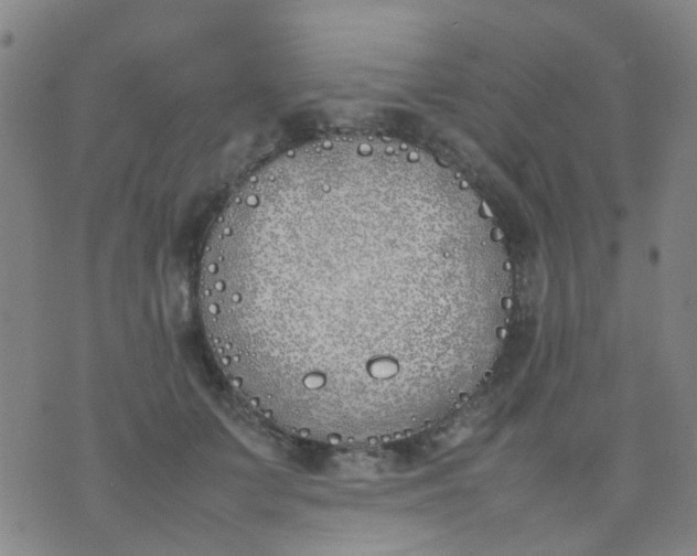 X0000074310703200609081942