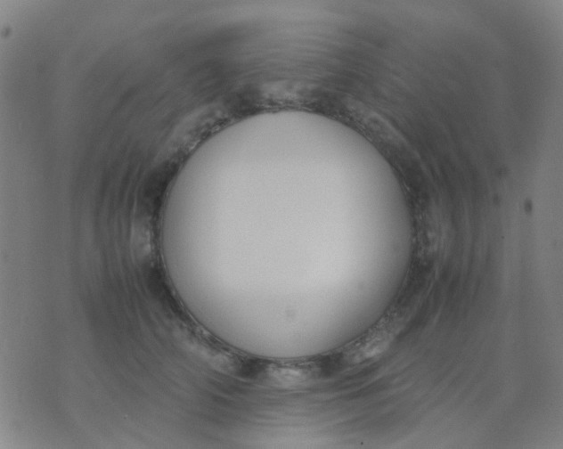 X0000074310706200609081942