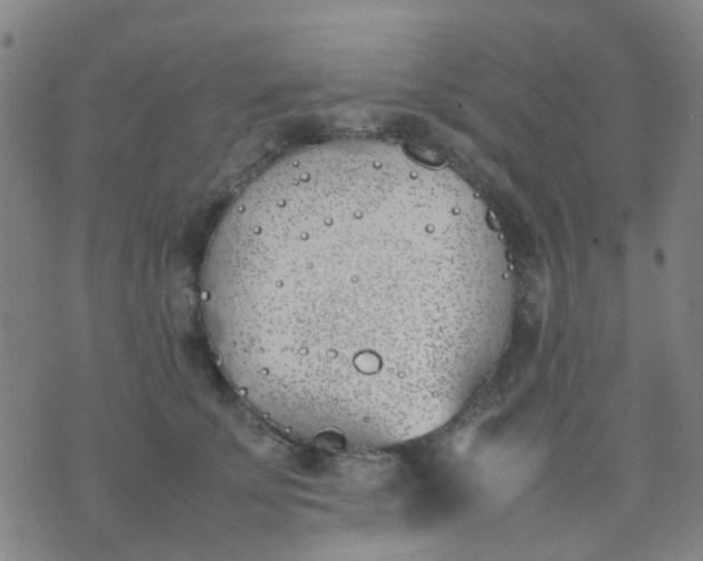 X0000074310707200609081942