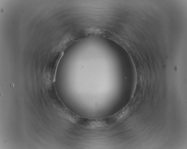 X0000074310708200609081942