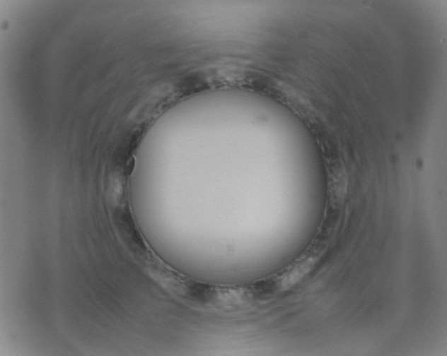 X0000074310709200609081942